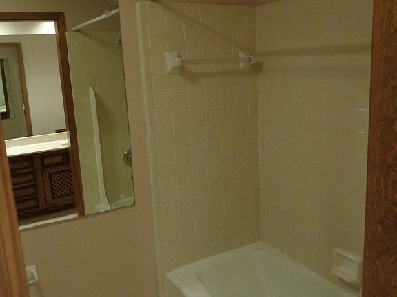 Tub/showerin hall bath