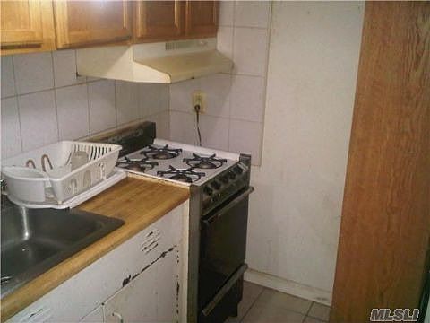 4th image of 335 Eldert Ln