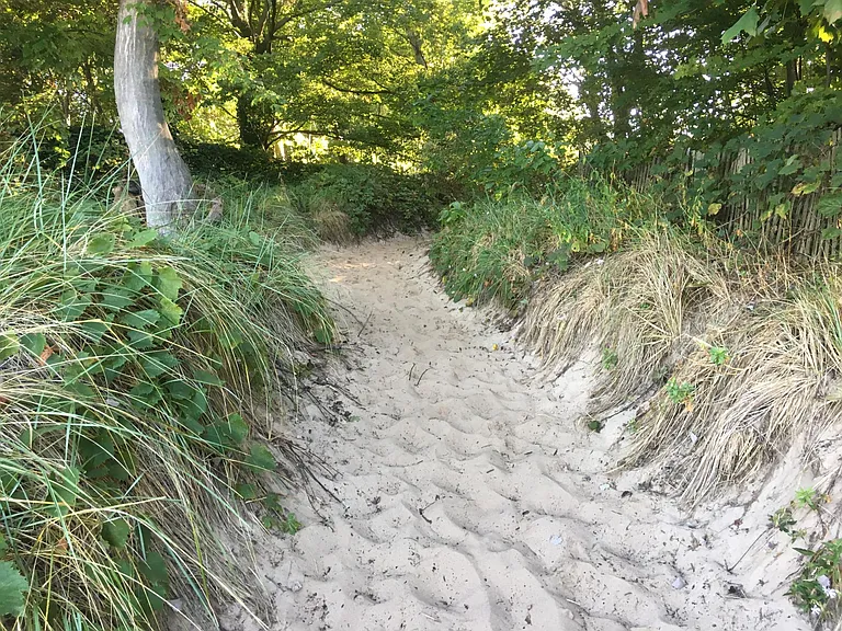 Short path to the beach