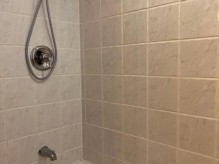 1016 N Hoyne Ave #1 — Photo 12