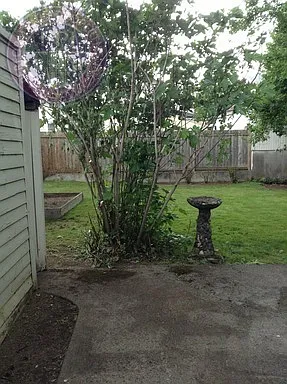 3723 SE Stephens St — Photo 15