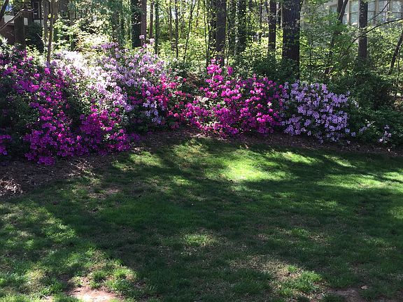 2nd image of 2620 Blakewood Ct