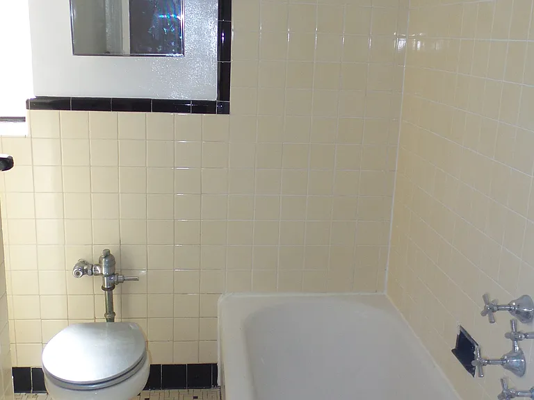 250 W 24th St #5DW — Photo 6