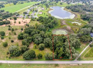 7 Keene Rd LOT 700, Altoona, FL 32702