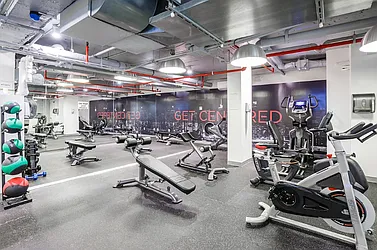 Rented by Dalan Rentals