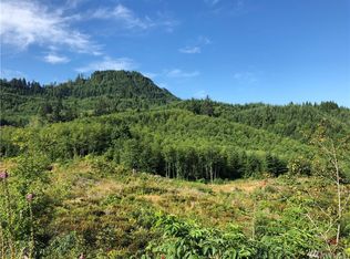 0 State Rte #4, Skamokawa, WA 98647