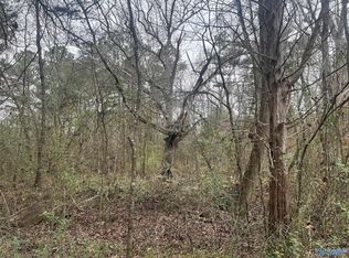 123 Hitt Rd, Decatur, AL 35603