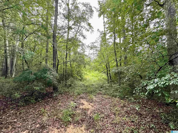 0 State Highway 231, Rockford, AL 35136