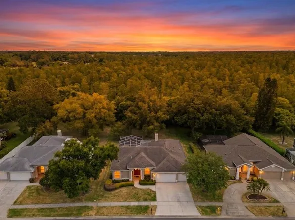 18543 Bittern Ave, Lutz, FL 33558