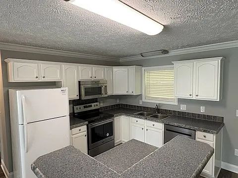 3003 Bent Tree Dr — Photo 3