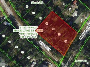 9917 MIRAMAR STREET LOT 10, NEW PORT RICHEY, FL 34654