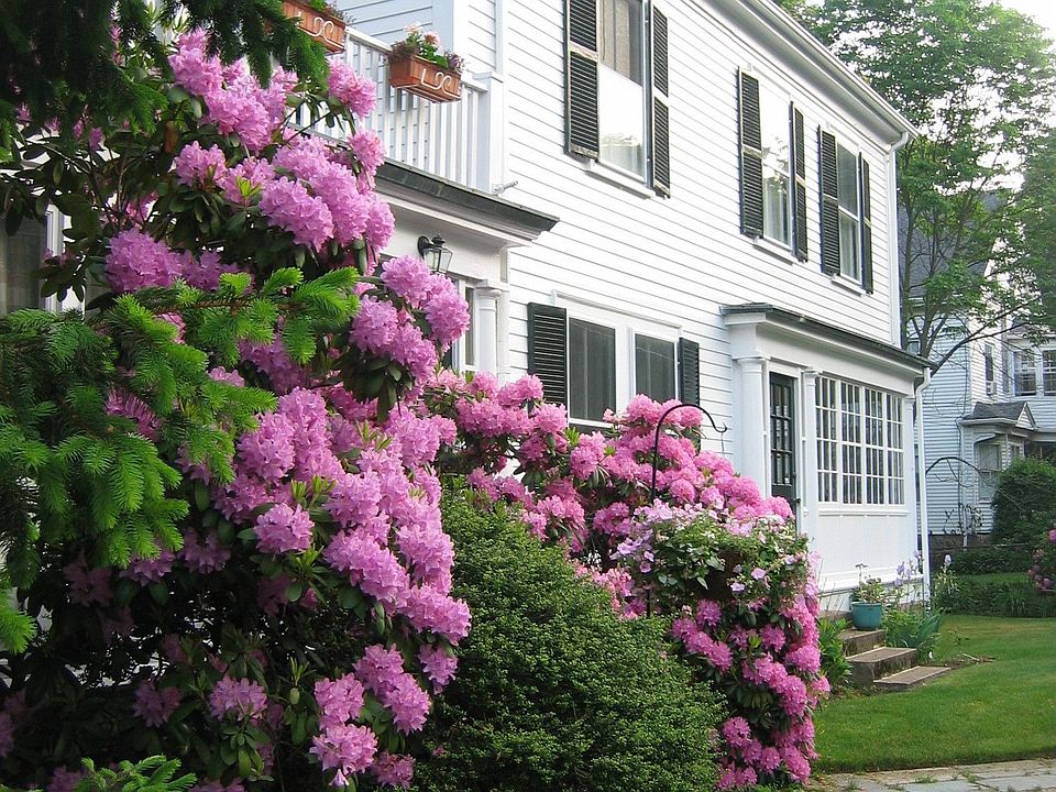 2nd image of 62 Hart St