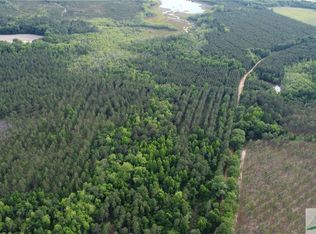 0 Old Manassas Foy Rd TRACT 1, Register, GA 30452