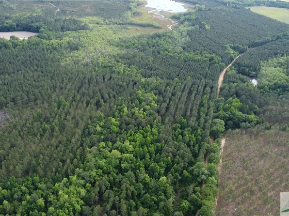 0 Old Manassas Foy Road #Tract 1, Register, GA 30452