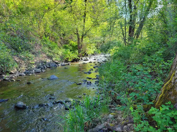 Twisted Tree Ln, Peck, ID 83545