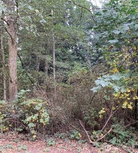 46 a Snohomish Way, Everett, WA, 98201
