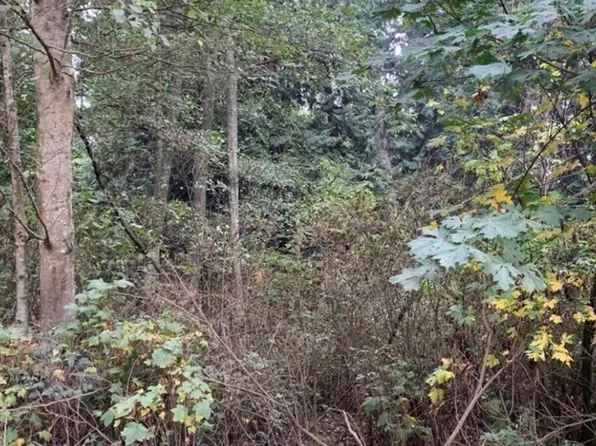 46 a Snohomish Way, Hat Island, WA 98206