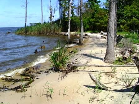 Public Beach-Country Estates