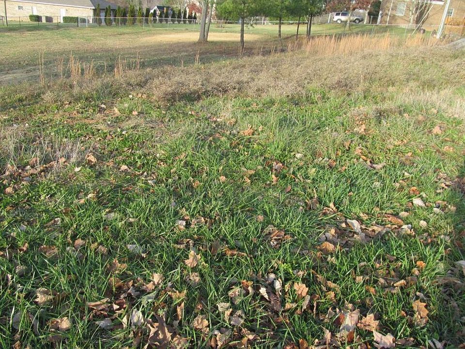 2nd image of 505 Hickory Tree Pvt Dr
