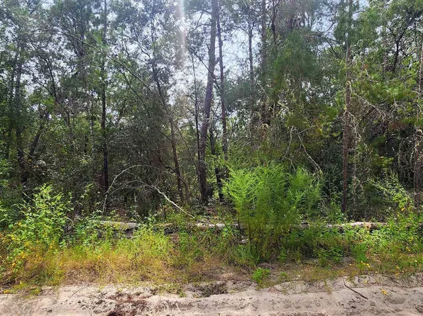 109 Locevan Ln, Florahome, FL 32140