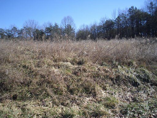 1st image of Pickett Park Hwy