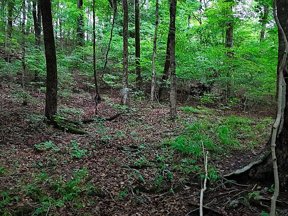 3rd image of 4 Cedar Hill Rd