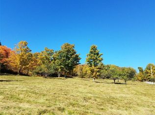 Old Lily Pond Rd, Parksville, NY 12768