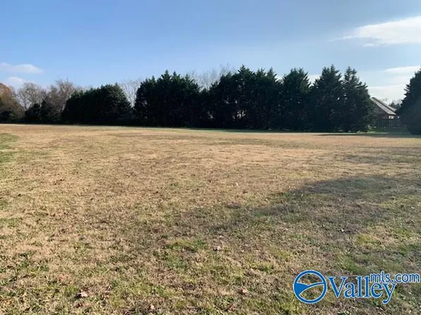 LOT 1 19th Ave E, Decatur, AL 35601