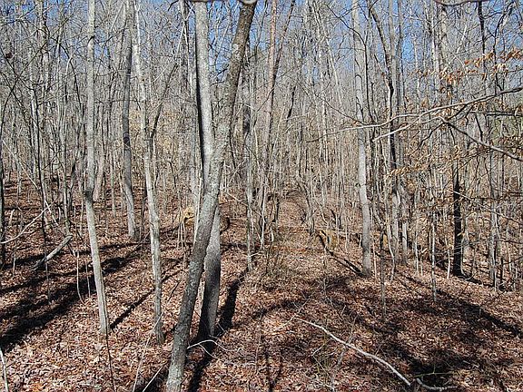 5th image of 5 Pickett Cross Rd