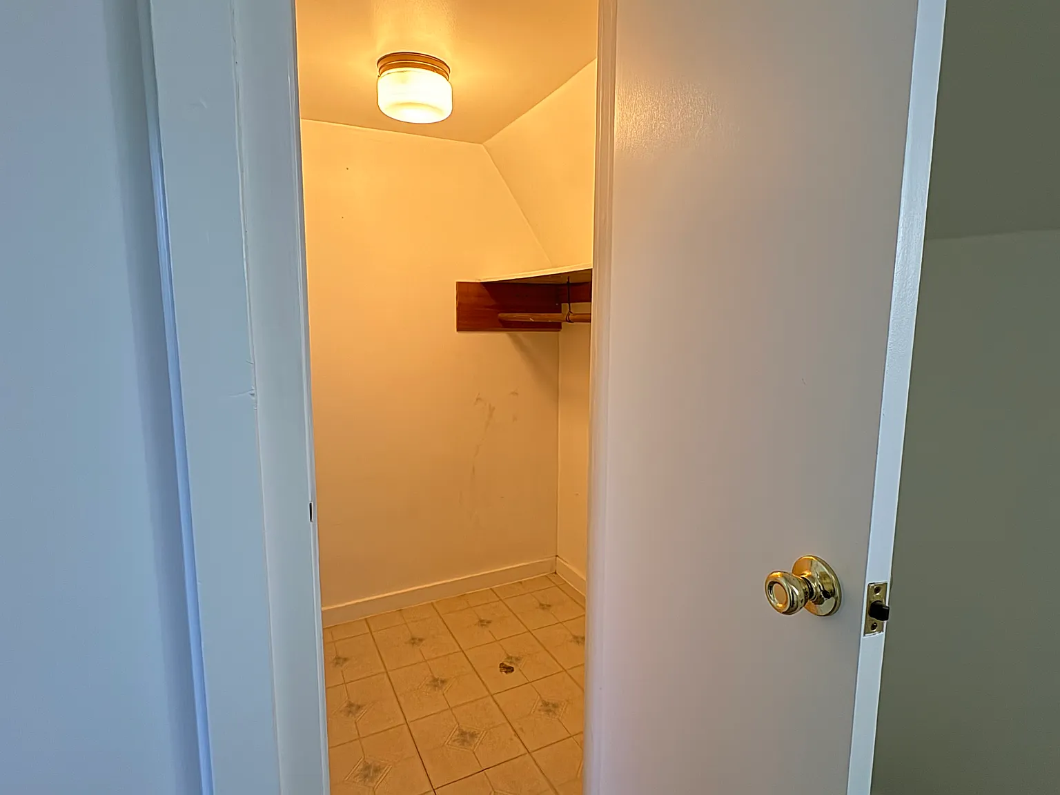 1 bed, 700 sqft, $1,245 — Photo 4