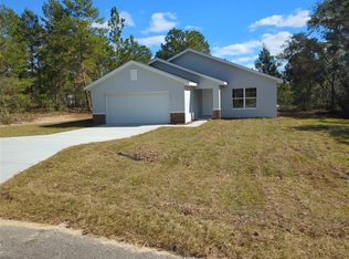 176 Guava Pass, Ocklawaha, FL 32179