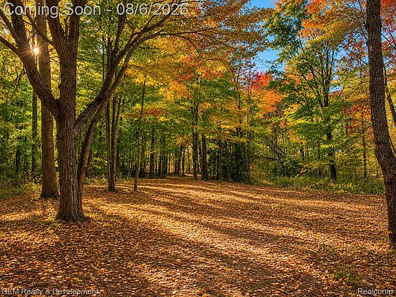 2nd image of 6004 Seven Mile Rd