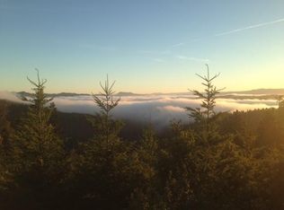 40 Acres Briceland Thorne Rd, Whitethorn, CA 95589