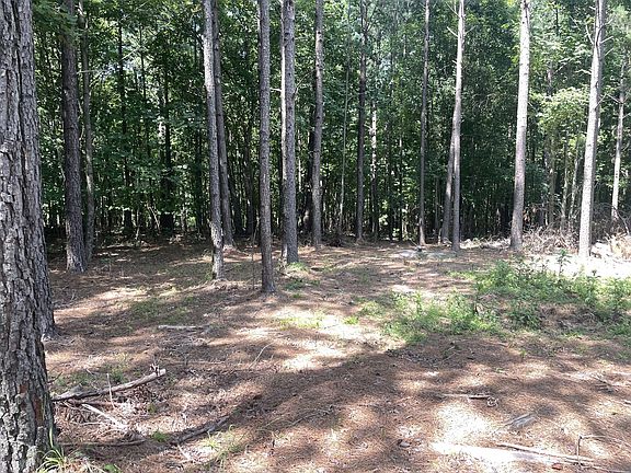 2nd image of 0 Tall Woods Ln Lot 8
