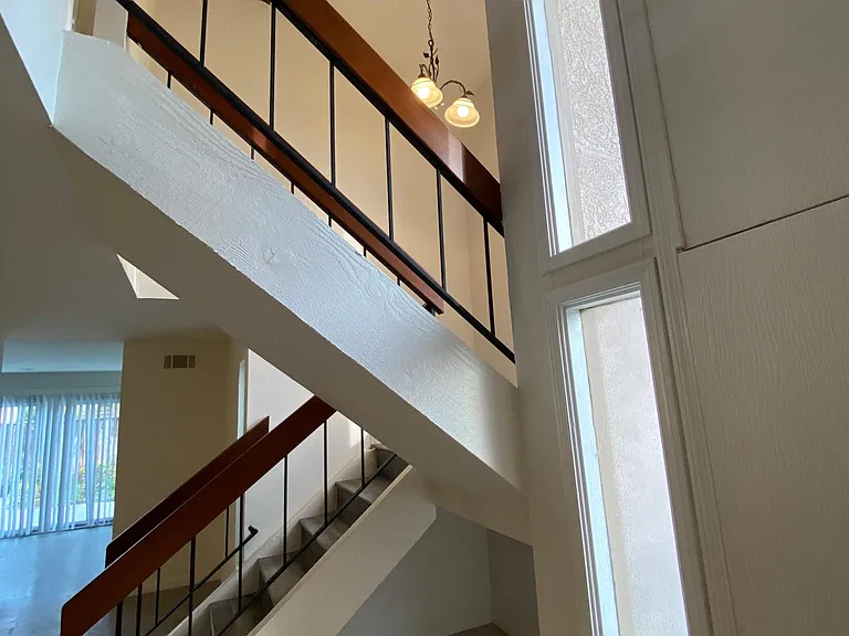 15 Morning Dove — Photo 12