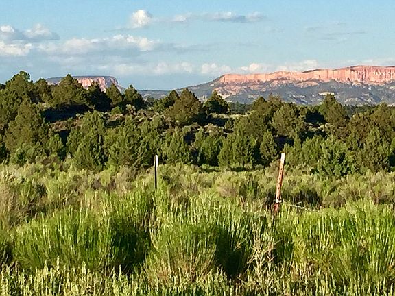 View of Pink Cliffs of Bryce