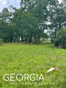 1854 S Walkers Mill Rd, Griffin, GA, 30224