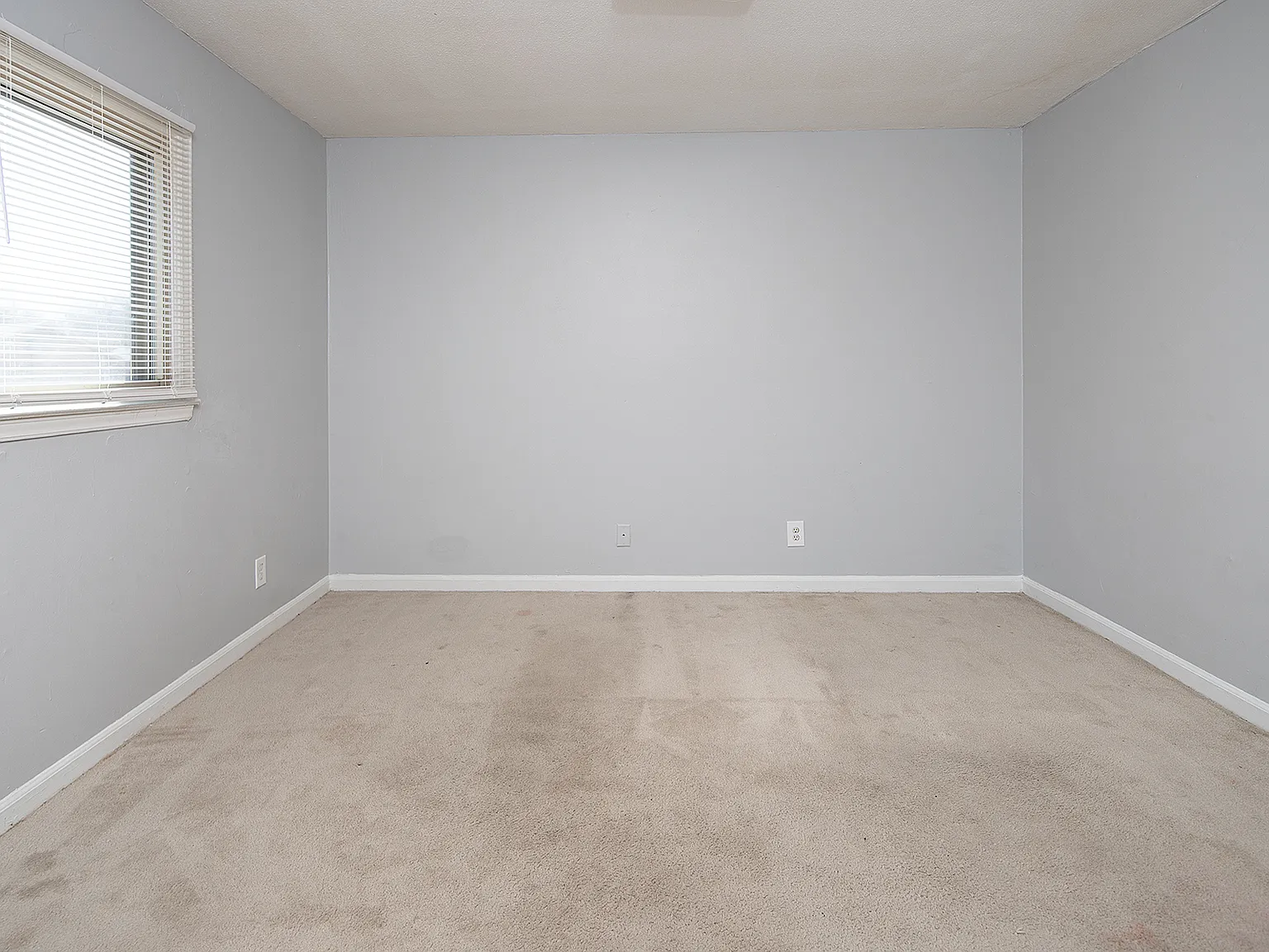 2 bed, 1.5 bath, 950 sqft, $1,350 — Photo 3