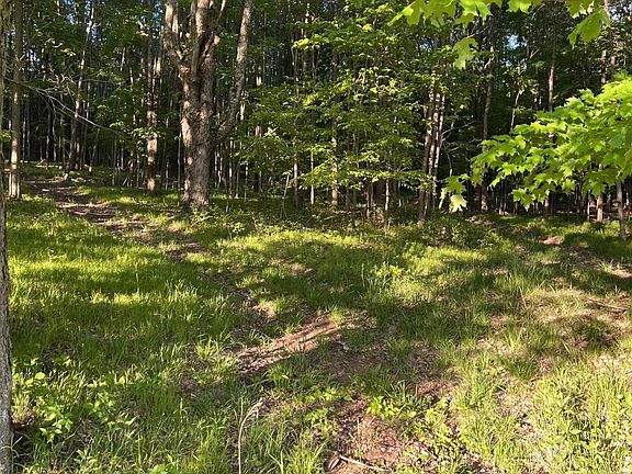 4th image of E Bramley Mountain