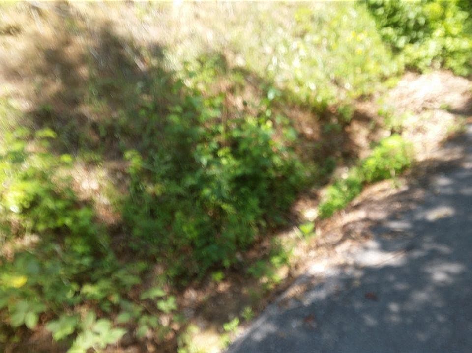 2nd image of 4057 Wildcat Rd