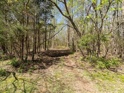 8698 Poplar Creek Rd, Nashville, TN, 37221