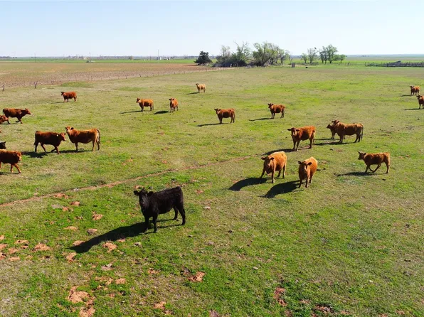 Fm 392, Chillicothe, TX 79225