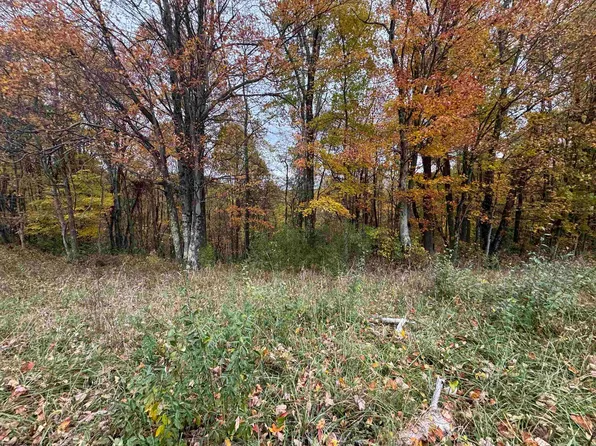 TBD Rohr Road, Masontown, WV 26542