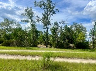0 NE 99th Pl, Archer, FL 32618