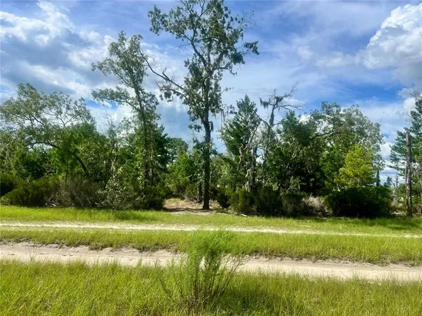 0 NE 99th Pl, Archer, FL 32618