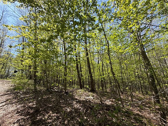 5th image of Lot 4 Peterson Road