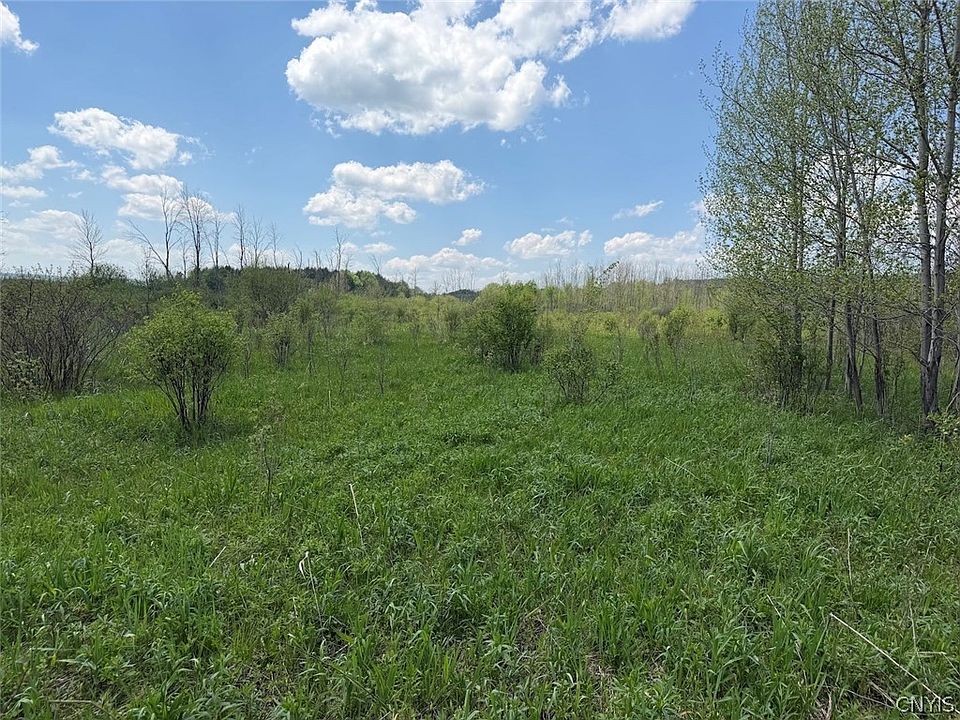 1st image of Buttermilk Rd