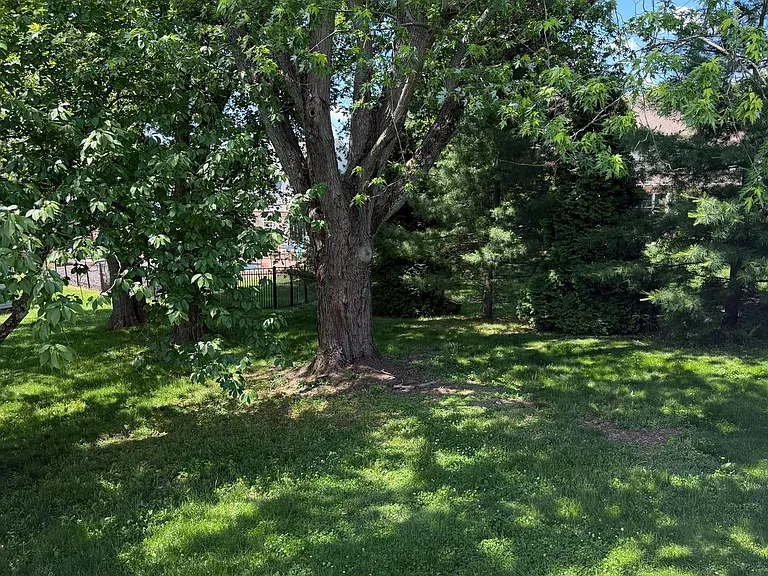 121 Macdade Rd — Photo 8