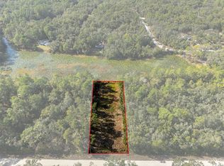 0 Alloy St LOT 41, Webster, FL 33597