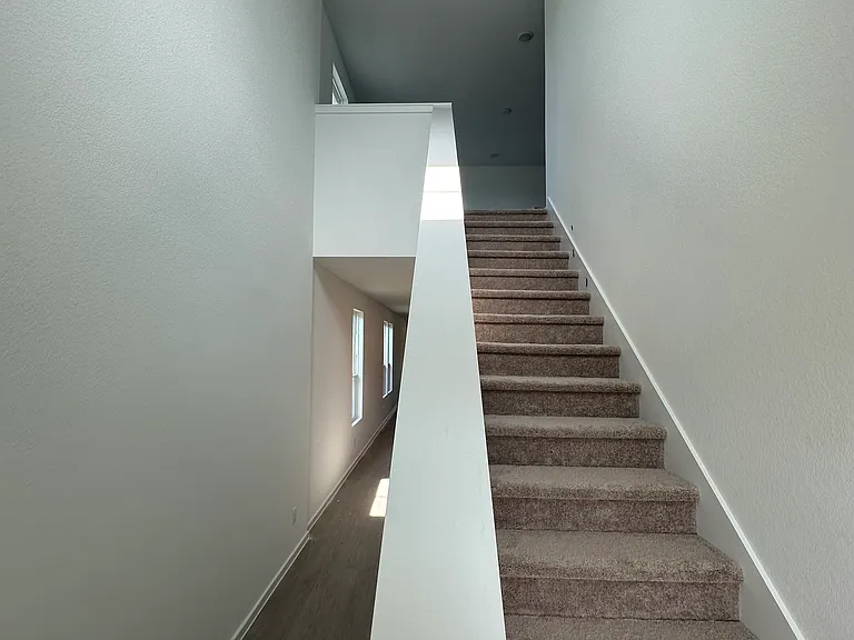 24657 Monarch Forest Dr — Photo 2